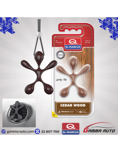 DESORDISANT LUCKY TOP