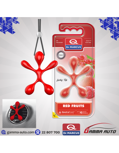 DESORDISANT LUCKY TOP