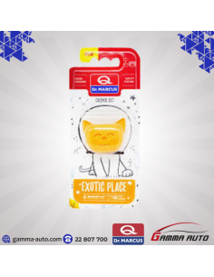 DESORDISANT COSMIC CAT