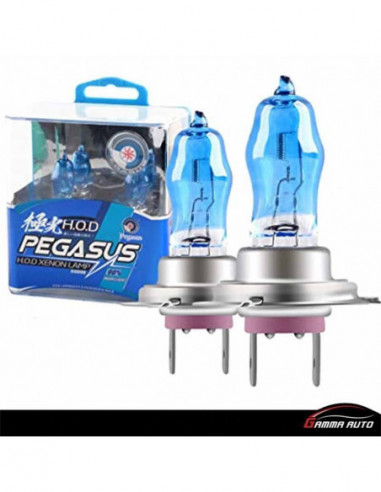 Lampe pegasus h7 100w xenon