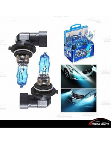 Lampe pegasus 9005 xenon 12v