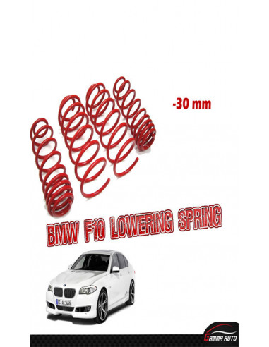 Ressorts courts BMW f10 30 mm 2011+